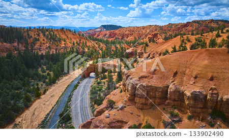 Aerial Red Canyon Tunnel Road Pine Forest and Red Cliffs Utah 133902490