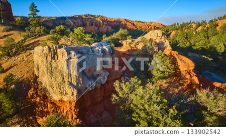Aerial Red Canyon Hoodoo Formations and Pine Trees in Utah at Sunset Aerial Red Canyon Hoodoo Formations and Pine Trees in Utah at Sunset 133902542