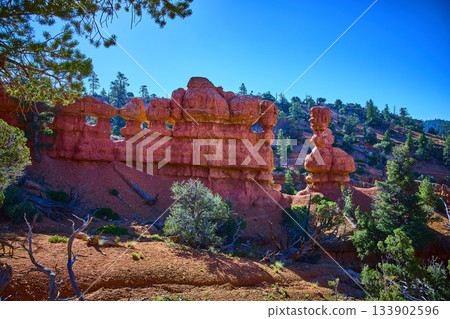 Red Canyon Hoodoos and Natural Windows with Pine Trees in Bright Sunlight Red Canyon Hoodoos and Natural Windows with Pine Trees in Bright Sunlight 133902596