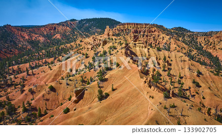 Aerial Red Canyon Golden Wall Trail Rugged Rock Formations and Pines 133902705