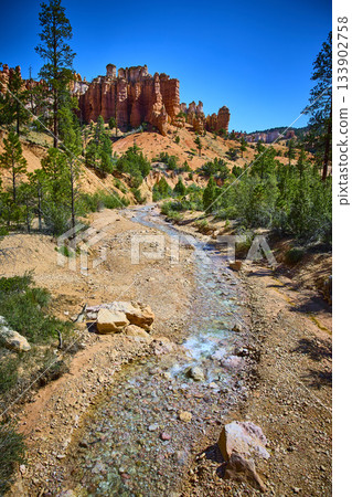 Bryce Canyon Hoodoos Crystal Clear Stream and Pine Trees on Mossy Cave Trail Bryce Canyon Hoodoos Crystal Clear Stream and Pine Trees on Mossy Cave Trail 133902758