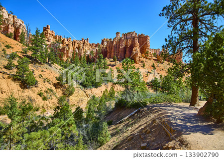 Bryce Canyon Hoodoos and Pine Trees Along Mossy Cave Trail Under Blue Sky 133902790