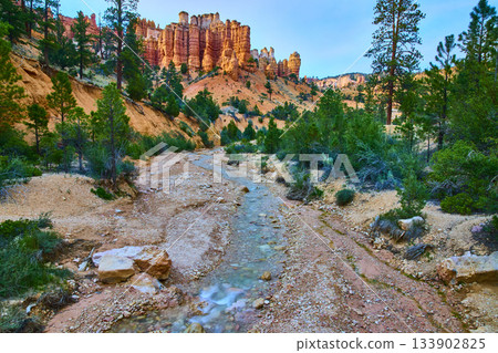 Bryce Canyon Hoodoo Formations with Mossy Cave Trail Stream and Pine Trees 133902825