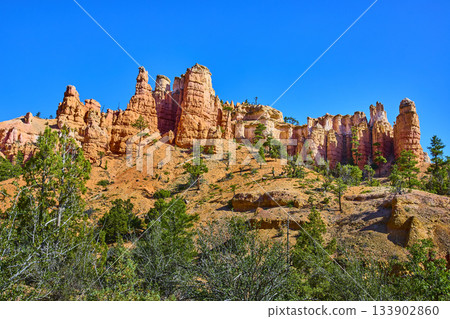 Bryce Canyon Hoodoo Formations and Pine Trees Under Clear Blue Utah Sky 133902860