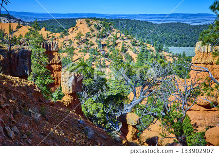 Red Canyon Cliffs Pine Trees and Arches Trail Landscape in Bright Sunlight Red Canyon Cliffs Pine Trees and Arches Trail Landscape in Bright Sunlight 133902907