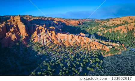 Aerial Red Canyon Rugged Red Rock Formations and Pine Trees Utah 133902917