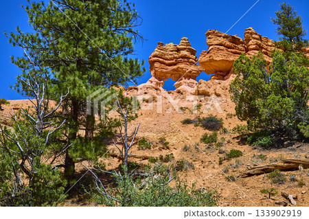 Natural Sandstone Arch and Pine Trees Under Blue Sky Utah Desert Landscape Natural Sandstone Arch and Pine Trees Under Blue Sky Utah Desert Landscape 133902919