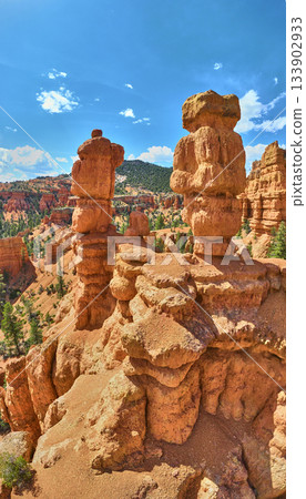 Red Canyon Hoodoos and Pine Trees Under Bright Blue Sky Utah Panorama Red Canyon Hoodoos and Pine Trees Under Bright Blue Sky Utah Panorama 133902933
