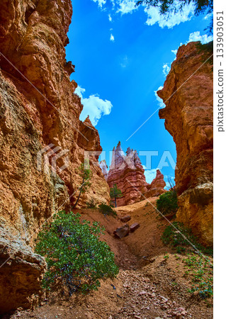 Bryce Canyon Wall Street Hoodoo Formations and Navajo Loop Trail Utah Landscape 133903051