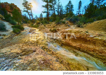 Mossy Cave Trail Stream Flowing Over Sandstone and Pine Forest in Utah 133903053
