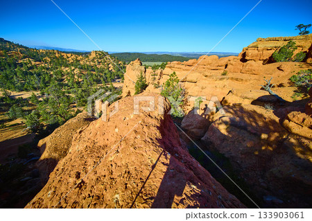 Red Canyon Sandstone Formations and Pine Trees Under Blue Sky Utah Landscape 133903061