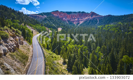 Aerial Winding Road Pine Forest and Red Cliffs Dixie National Forest Utah Aerial Winding Road Pine Forest and Red Cliffs Dixie National Forest Utah 133903072