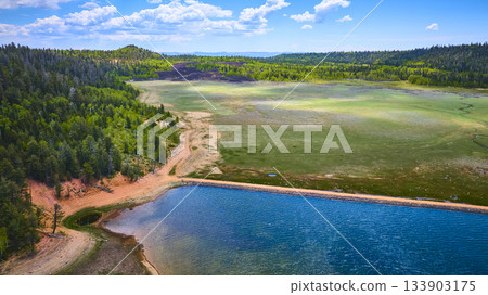 Aerial Lake Forest and Meadow Landscape with Vibrant Summer Colors 133903175