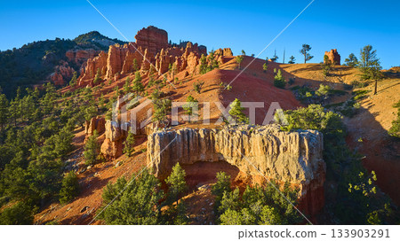 Aerial Red Canyon Hoodoos and Pine Trees in Utah Sunlight Aerial Red Canyon Hoodoos and Pine Trees in Utah Sunlight 133903291