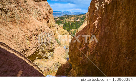 Bryce Canyon National Park Red Rock Formations and Forest from High Perspective Bryce Canyon National Park Red Rock Formations and Forest from High Perspective 133903394