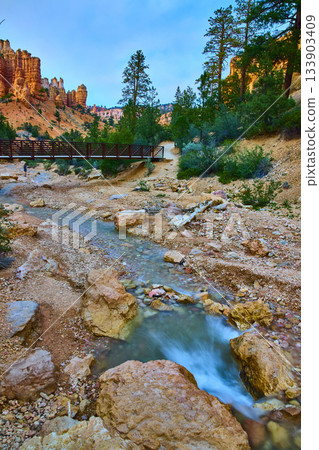 Rushing Creek and Wooden Bridge with Pine Trees and Hoodoos on Mossy Cave Trail Rushing Creek and Wooden Bridge with Pine Trees and Hoodoos on Mossy Cave Trail 133903409