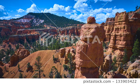 Red Rock Hoodoo Formation and Pine Trees in Sunlit Red Canyon Utah 133903422