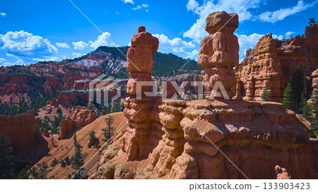 Red Canyon Hoodoo Rock Formations and Pine Trees in Utah Landscape Red Canyon Hoodoo Rock Formations and Pine Trees in Utah Landscape 133903423