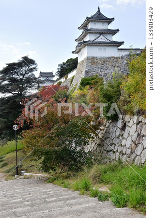Hyogo Prefecture Akashi Castle (Akashi Park) Tatsumi Tower, Kun Tower, stone wall and east staircase Hyogo Prefecture Akashi Castle (Akashi Park) Tatsumi Tower, Kun Tower, stone wall and east staircase 133903429