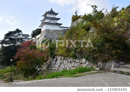 兵庫縣明石城（明石公園）辰巳塔、鮫塔、石牆和東側階梯 133903430