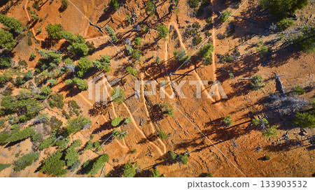 Aerial Red Canyon Trail Switchback Patterns and Utah Desert Vegetation Top Down 133903532