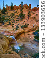 Mossy Cave Waterfall and Hoodoo Cliffs with Pine Trees in Bryce Canyon National Park 133903656