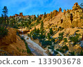 Mossy Cave Trail Hoodoos Waterfall and Pine Trees in Bryce Canyon National Park 133903678