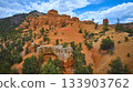 Aerial Red Canyon Hoodoo Formations and Pine Forest Utah Landscape 133903762
