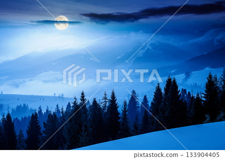 winter landscape at night. fir trees on snow covered hill in full moon light. mysterious place in mountains. winter wonderland background for photo travel. backdrop for fiction art or mystery concepts winter landscape at night. fir trees on snow covered hill in full moon light. mysterious place in mountains. winter wonderland background for photo travel. backdrop for fiction art or mystery concepts 133904405