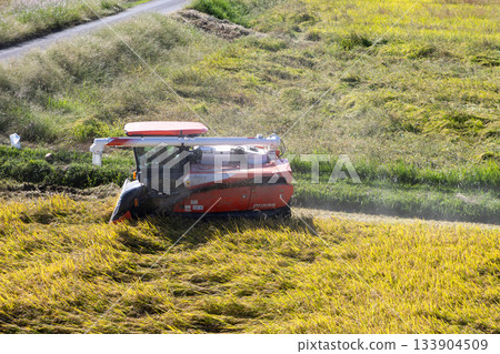 Golden ripe rice ears and a combine harvester in the autumn, a rural scene Golden ripe rice ears and a combine harvester in the autumn, a rural scene 133904509