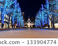 Sapporo White Illumination - Former Hokkaido Prefectural Government Office 133904774