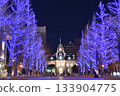 Sapporo White Illumination - Former Hokkaido Prefectural Government Office 133904775