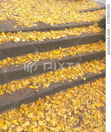 Fallen ginkgo leaves decorating the golden stairs, an autumn scene Fallen ginkgo leaves decorating the golden stairs, an autumn scene 133905209