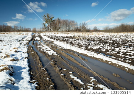 A muddy dirt road and melting snow in a field on a sunny winter day A muddy dirt road and melting snow in a field on a sunny winter day 133905514