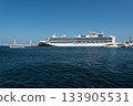 Diamond Princess moored at Osanbashi Pier in Yokohama and Marine Rouge departing from the Red Brick Warehouse 133905531