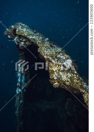 Wreck ship underwater in deep ocean 133905600