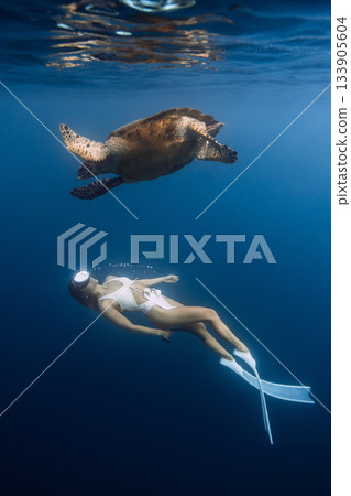 Freediving with sea turtle. Woman with fins dives underwater with turtle in ocean. 133905604