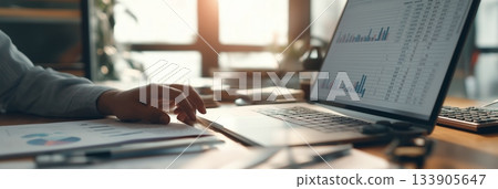 Person typing on laptop displaying financial spreadsheets and charts at a desk. Person working on financial budget spreadsheets on laptop Person typing on laptop displaying financial spreadsheets and charts at a desk. Person working on financial budget spreadsheets on laptop 133905647