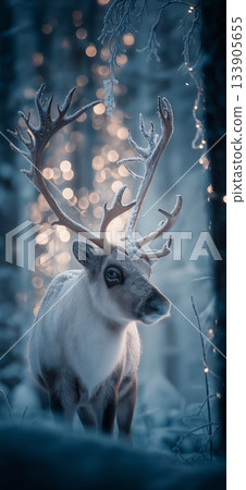 Reindeer standing in snowy forest with magical Christmas lights. Reindeer standing in deep snow, illuminated by magical Christmas lights in a winter forest Reindeer standing in snowy forest with magical Christmas lights. Reindeer standing in deep snow, illuminated by magical Christmas lights in a winter forest 133905655