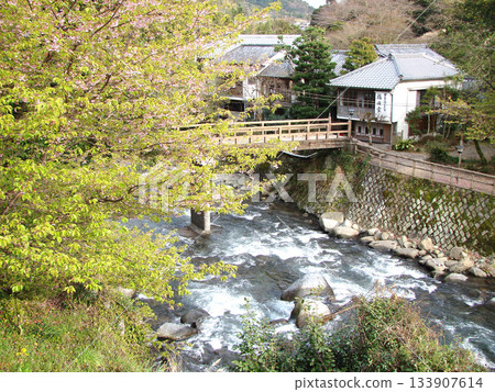The dancing place of Izu The dancing place of Izu 133907614