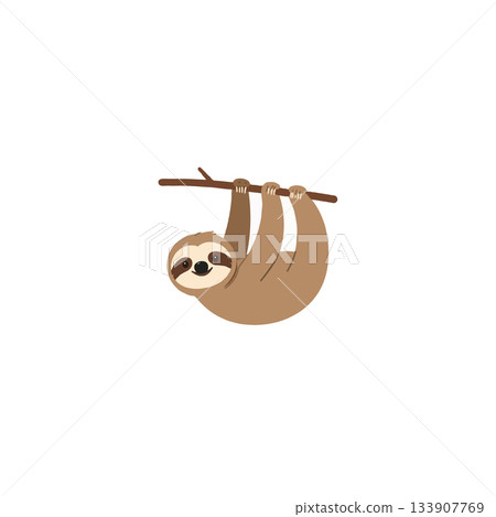 Charming vector illustration of a happy sloth clinging to a branch in its natural habitat 133907769