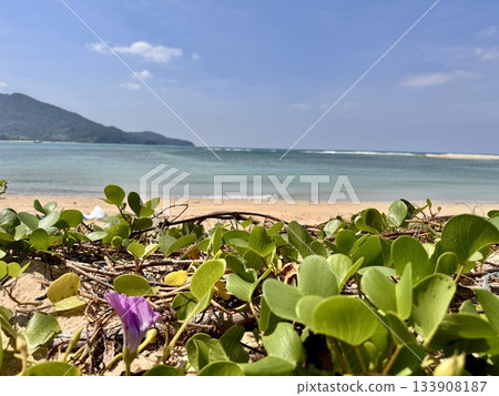 Sunny day in Asia, beautiful deserted beach Sunny day in Asia, beautiful deserted beach 133908187