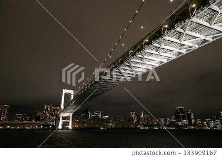 Tokyo Bay Night Cruise: Rainbow Bridge and Tokyo's Night View 133909167