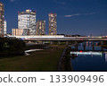 東京：二子玉川市夜景 133909496