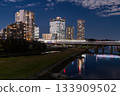 東京：二子玉川市夜景 133909502