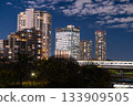 東京：二子玉川市夜景 133909505