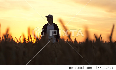 agriculture, agronomist farmer walking wheat field, business woman, worker field, agriculture concept, woman growing wheat field, women work sunset, man cap working wheat field, woman farmer business 133909844