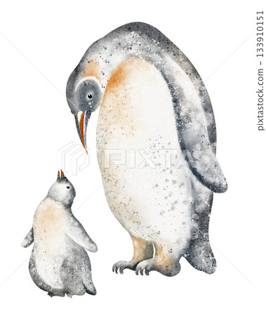 Penguin family illustration in watercolor. Father penguin and baby chick isolated on white background. Animal design and drawing for print or card. 133910151