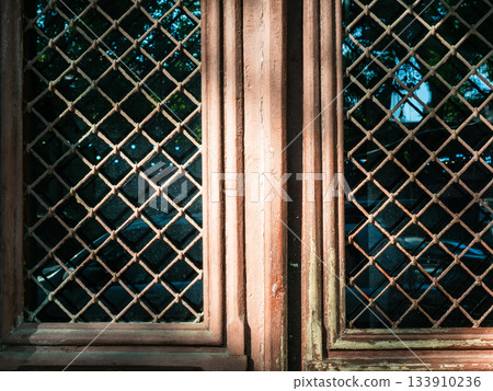 barred glass of old entrance door closeup barred glass of old entrance door closeup 133910236