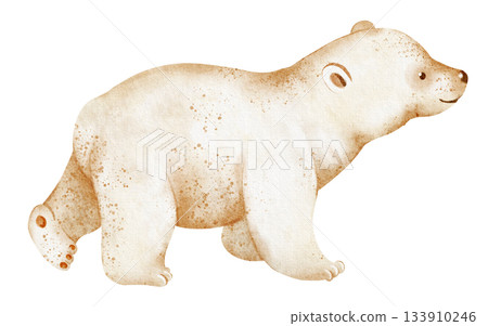 Baby polar bear walking, isolated on white background. Watercolor illustration of ursus maritimus. Hand drawn animal sketch for art, children, nature, winter, arctic. Baby polar bear walking, isolated on white background. Watercolor illustration of ursus maritimus. Hand drawn animal sketch for art, children, nature, winter, arctic. 133910246